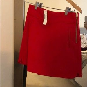Adorable Red Skirt